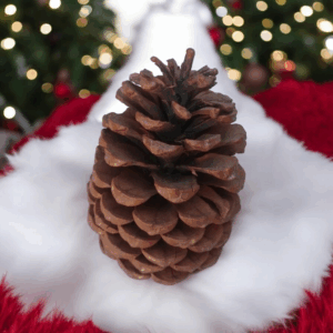 Dekozapfen Naturzapfen ca. 18 cm 2 Stück