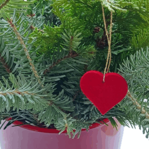 Filzanhänger Herz 3,5 cm – rote Filzherzen zum Aufhängen für Weihnachten, Hochzeit & Basteln