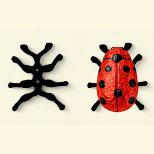 Maikäferfüße aus Karton 60 x 55 mm