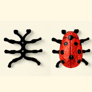 Maikäferfüße aus Karton 62 x 66 mm