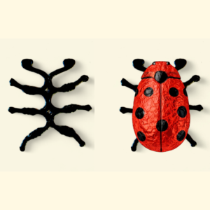 Maikäferfüße aus Karton 77 x 72 mm